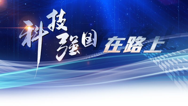 低代码平台实战与传统开发：差距到底在哪